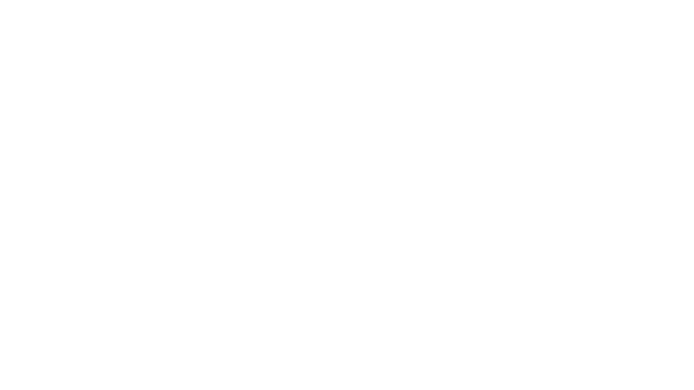Mergullo Brogan